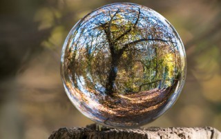 Nonprofit Networking