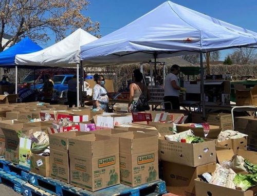 5 Colorado Nonprofits Share Innovative Ways They are Pivoting